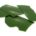 R-079 Pea Green Opaque Glass Color